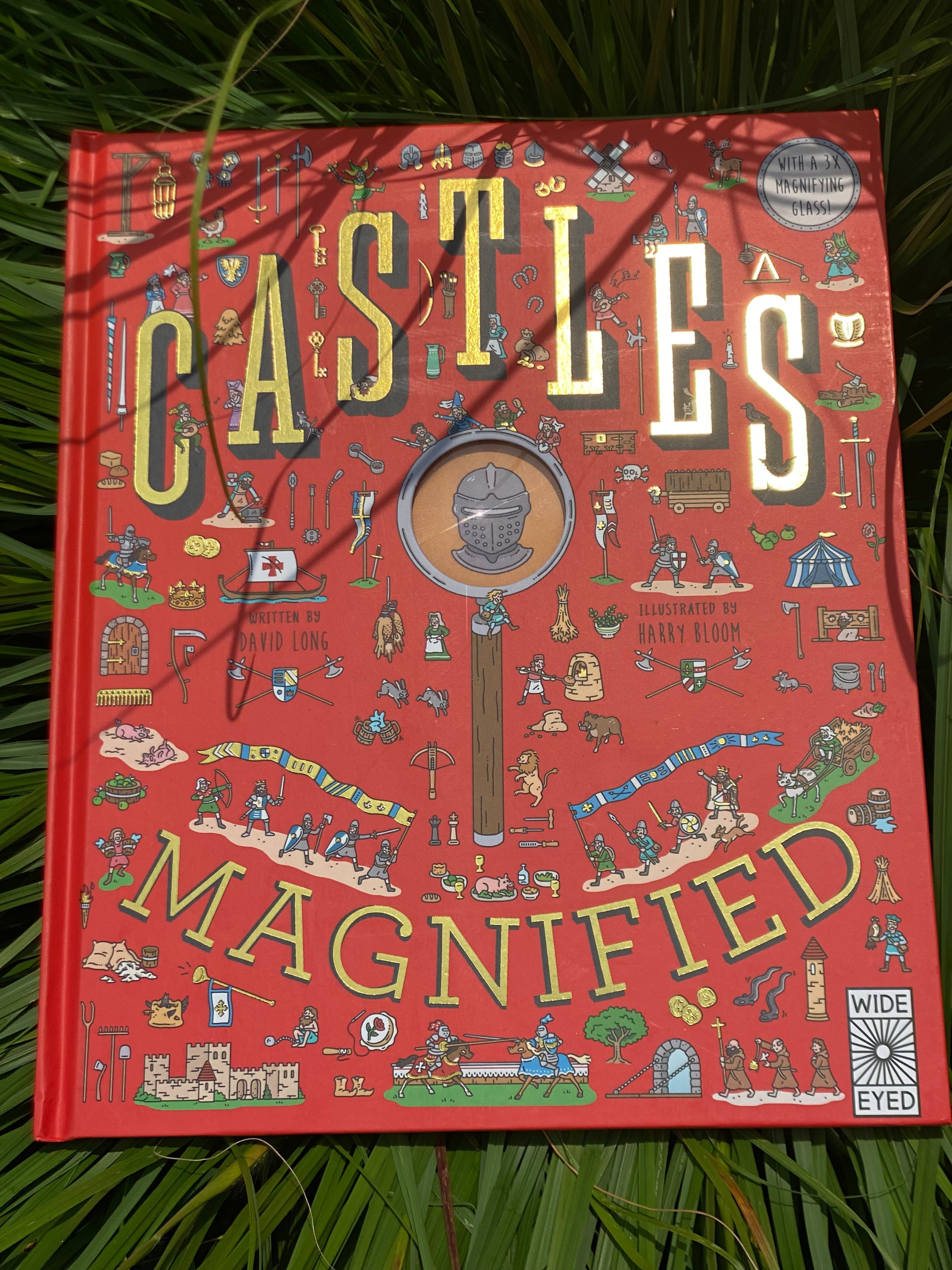 Castles Magnified